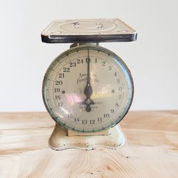       1930's American Family Farm/Kitchen 25LB Scale 