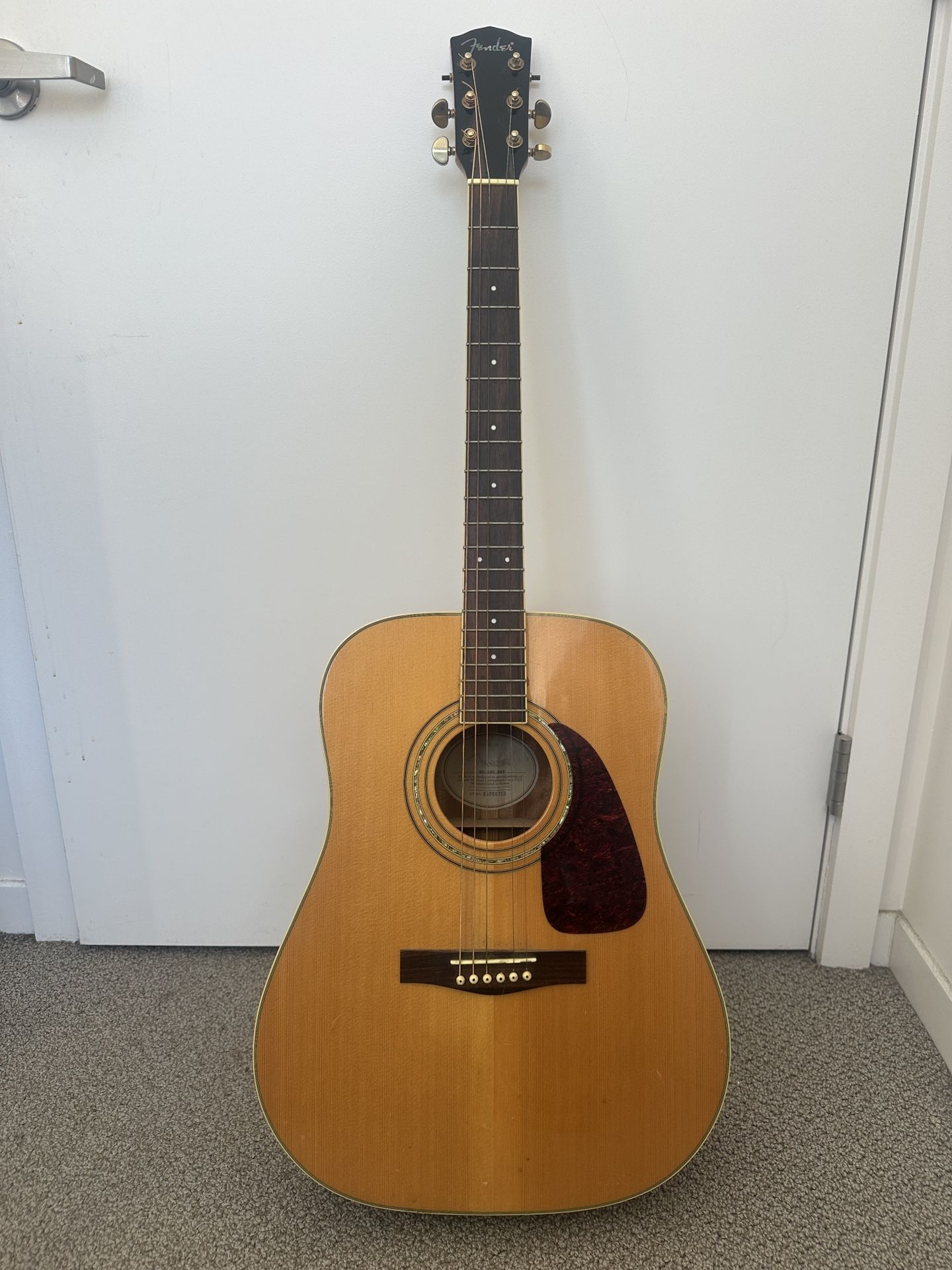 Fender Acoustic DG-100 w/ Gig Bag