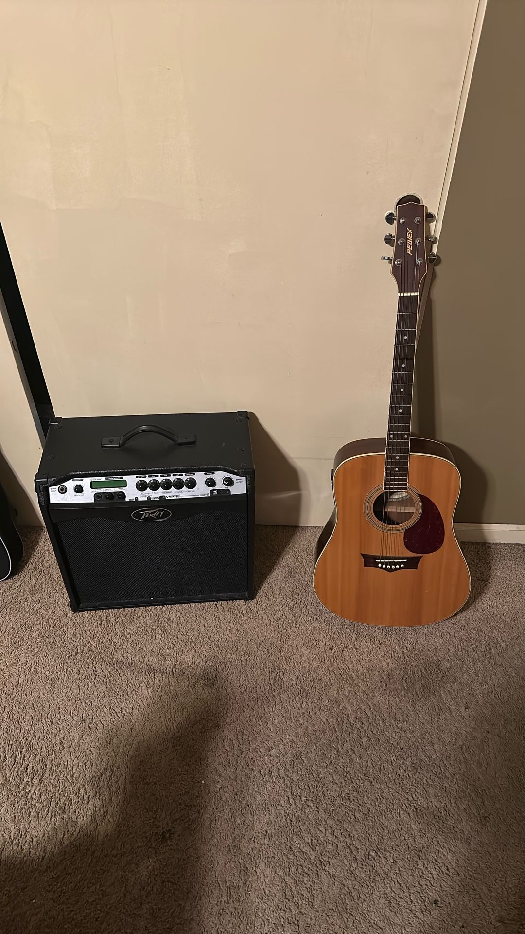 Peavey ELECTRIC ACOUSTIC Guitar and 110V AMP