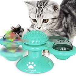 Cat Toy 