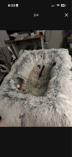 Cat Tunnel Bed- FREE
