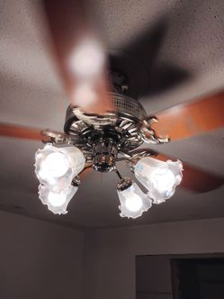 Ceiling fans