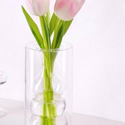 8x3.5” Double Wall Floating Glass Vase