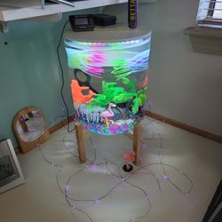 Fish Tank 3 Gal. 
