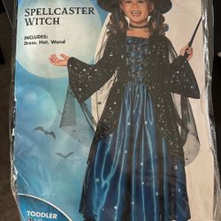 Toddler witch costume
