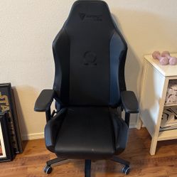 Secret Lab Chair/ Gaming Computer 