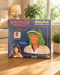 🎬 Stranger Things Dustin Chia Pet – Brand New 🌱
