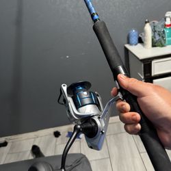 Fishing Rod And Reel 