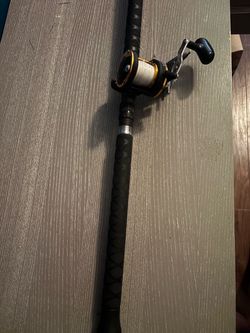 Fishing rod seagate 20 on a Daiwa proteus rod