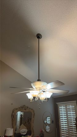 Ceiling fan