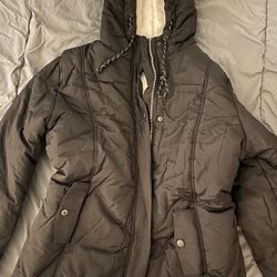 Winter Jacket 