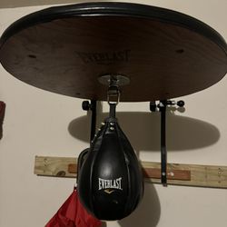 Heavy Bag And Speed Bag 