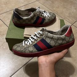 Gucci aces