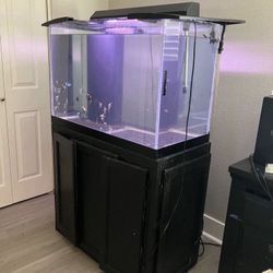 70 Gallon Fish Tank