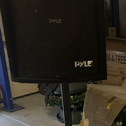 Pyle speaker with Stanf  and two guitar amps from Pevey and rogue
