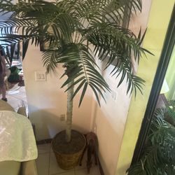 Large Decorative Palm Tree w/ Basket – Indoor/Patio Decor