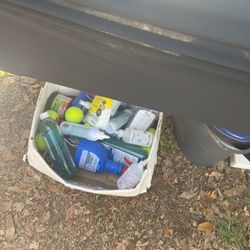 Box Of Dog Supplies 