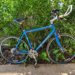 Specialized Sirrus Bike For Sale