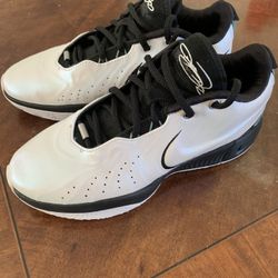 Nike Lebron 21 Conchiolin White Size 10