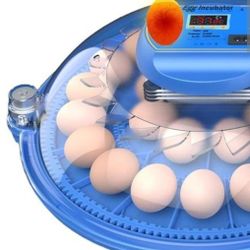 Egg Incubator 