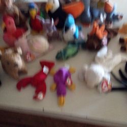 Beanie Baby