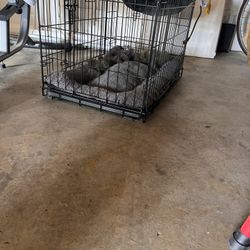 Small Dog Crate NEW