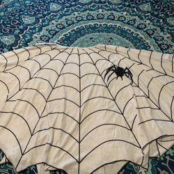 Women’s Spider web Poncho Costume- One Size Fits All