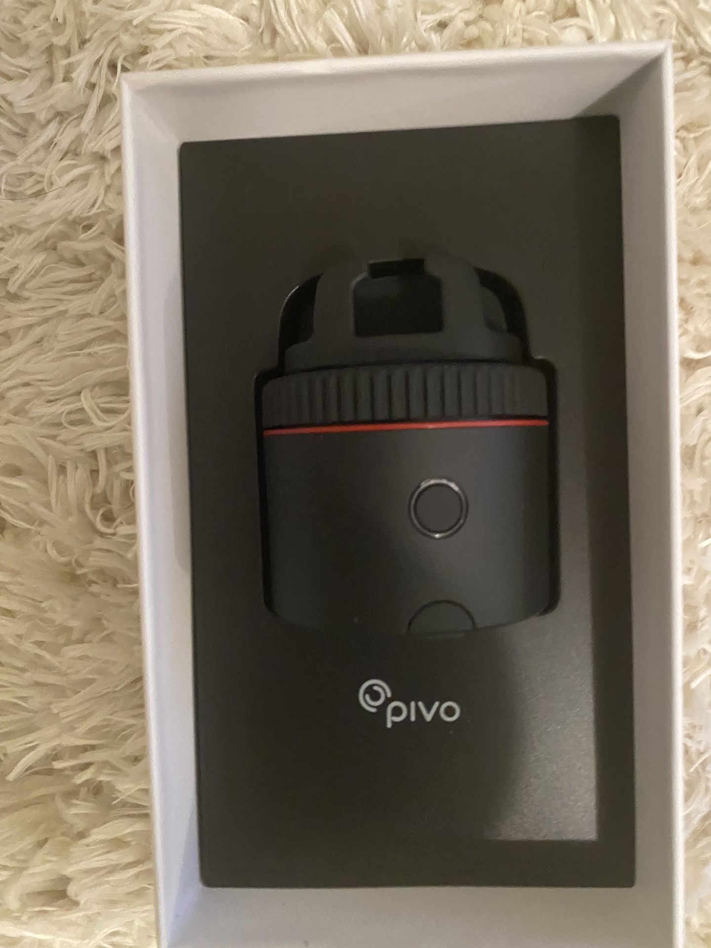 Pivo