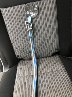 No stink collar for large dogs