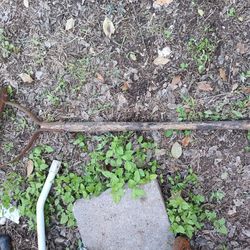 Antique Swingblade
