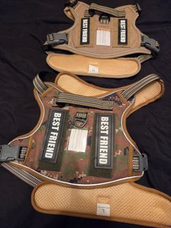 Dog Harness