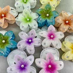 Hair Clips & Accessories