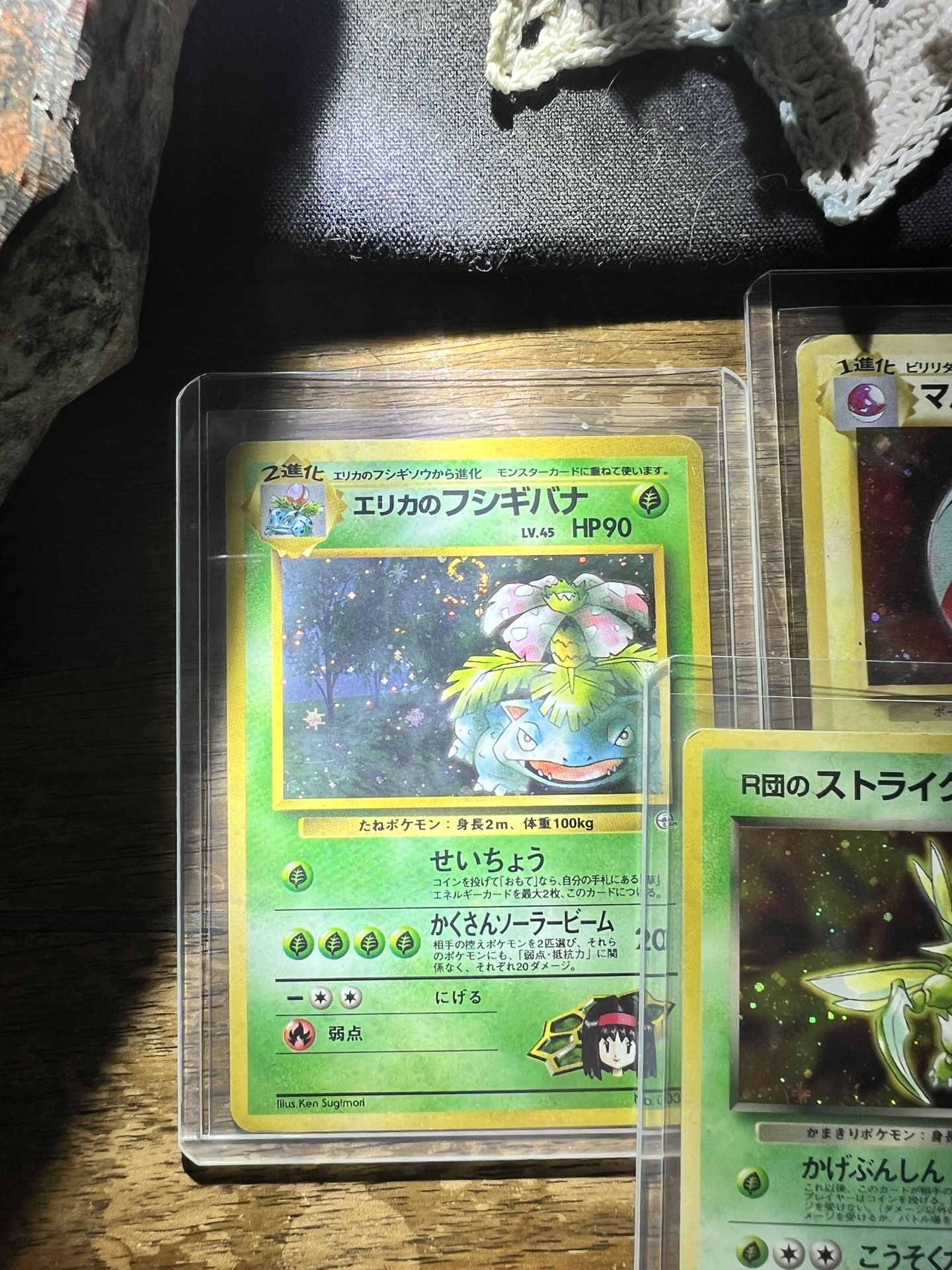 Erika’s Venasuar Japanese Holo