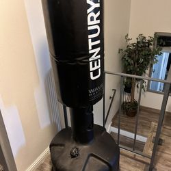 Punching Bag 