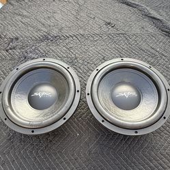 SKAR 12” Woofers 