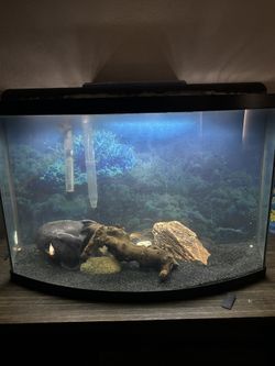 35 Or 45 Gallon Fish Tank