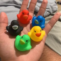 Cute Little Squeaky Ducks New