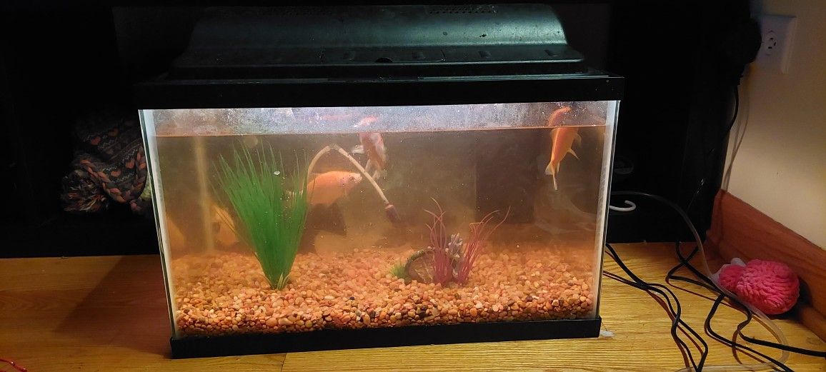 Tank