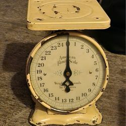 Vintage AMERICAN FAMILY Scale 