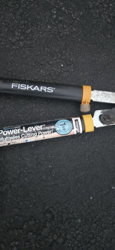 Fisher Pruners