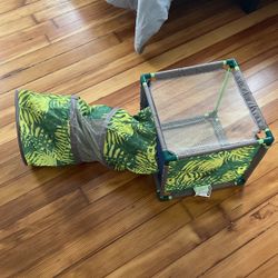 Cat Toy