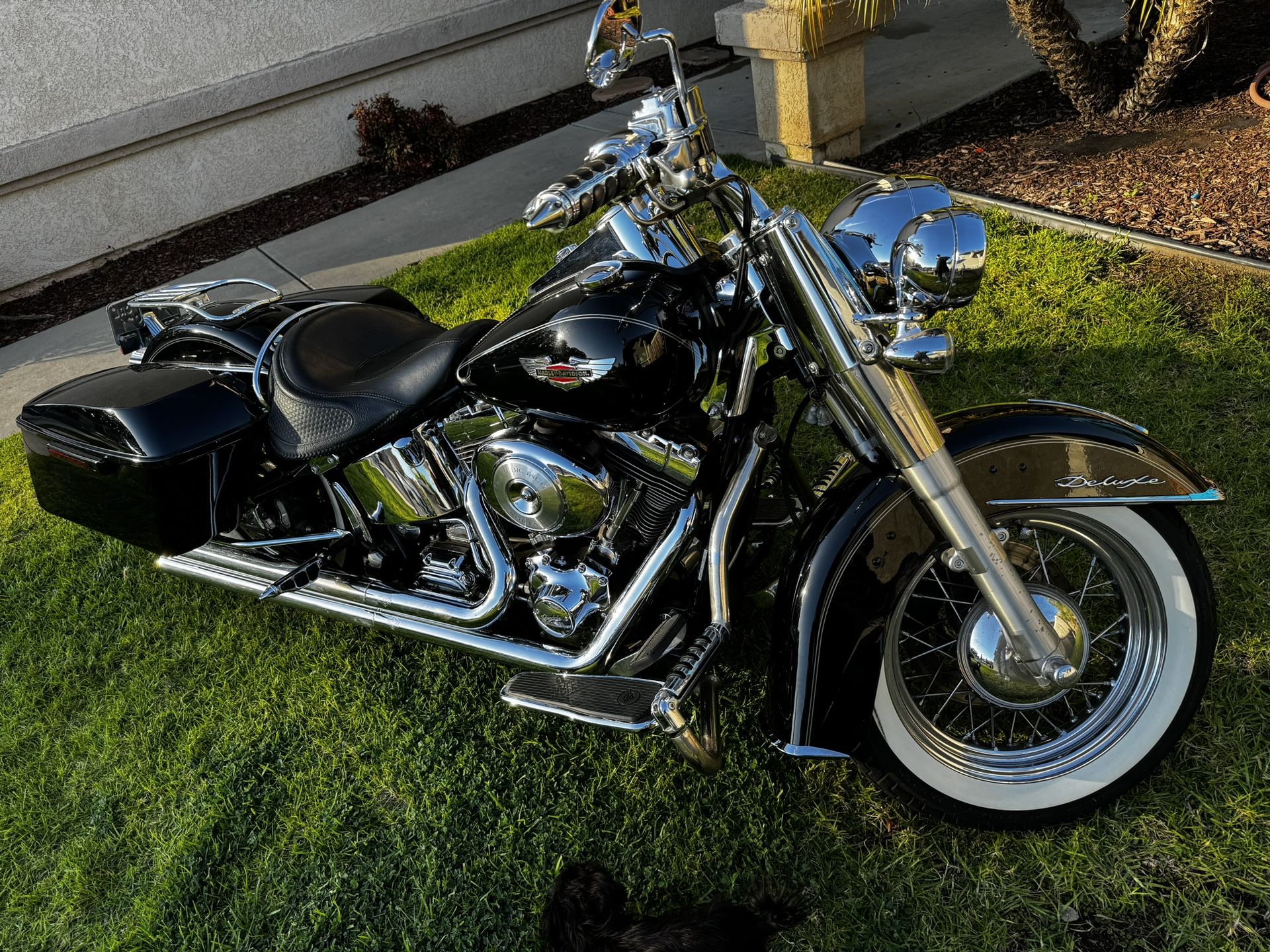 2005 Harley Davidson Softail Deluxe