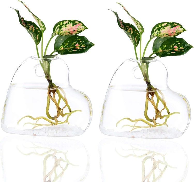 2 Pk Wall Hanging Glass Planter Terrarium Plant Propagation Station Heart Shape Vase for Hydroponic Water Plants