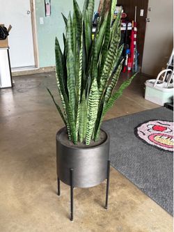 53" Faux Snake Plant with Stand
