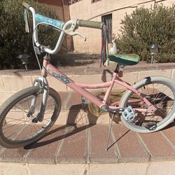 20” Inch Girls Bike