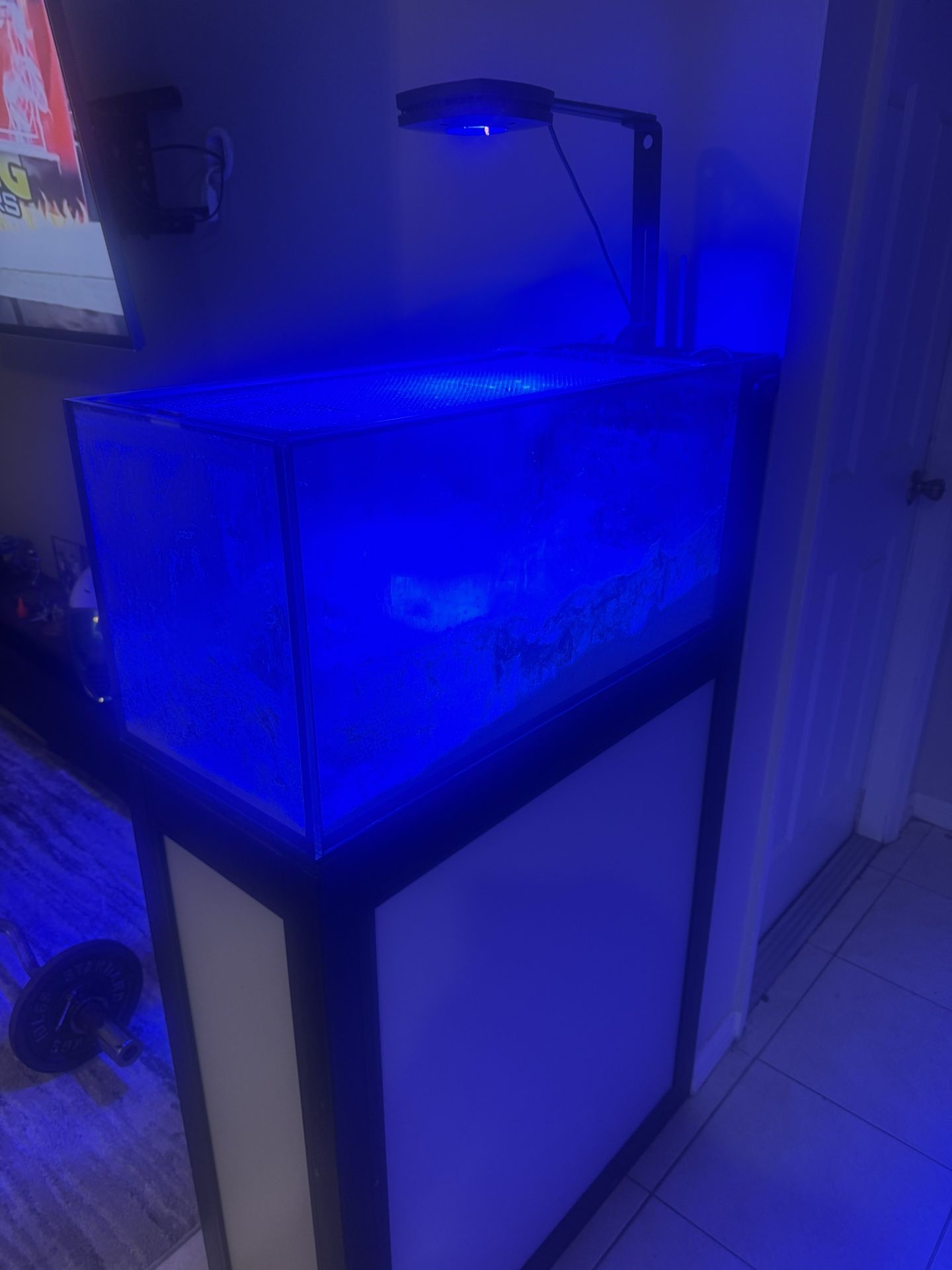 20gallon Fish Tank And Stand With Light FREE 