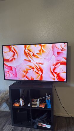 LG TV, Stand, Roku, speakers with subwoofer