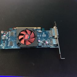 Amd Gpu