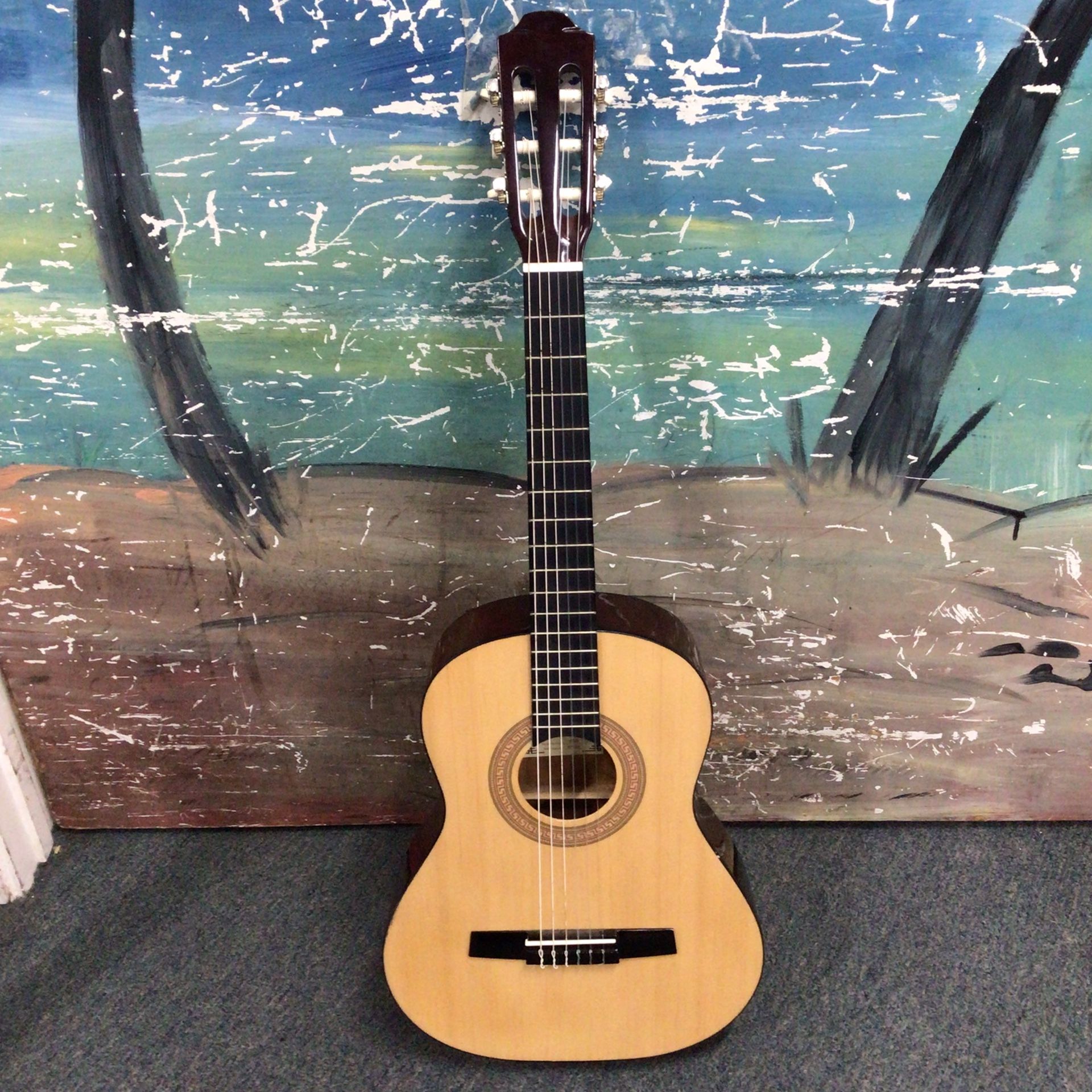 Hohner HC03 3 4 Classical Acoustic Guitar W Soft Shell Case for