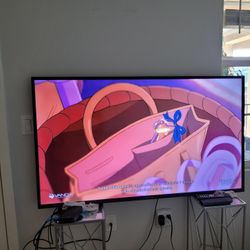 55 Inch